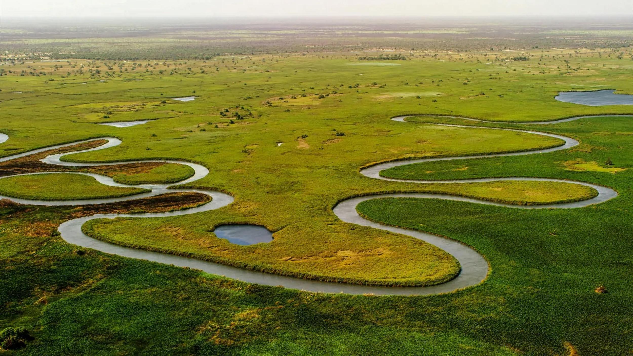 Okavango Delta, Botswana - Pixabay