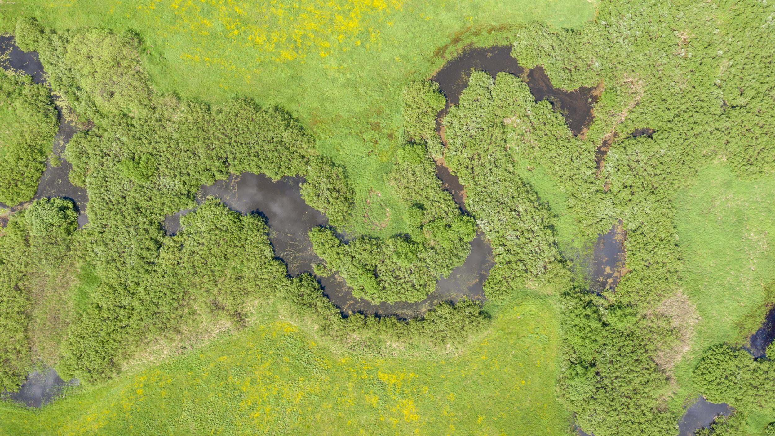 Belarus - Side stream of the Pripyat river - Kevin Feytons
