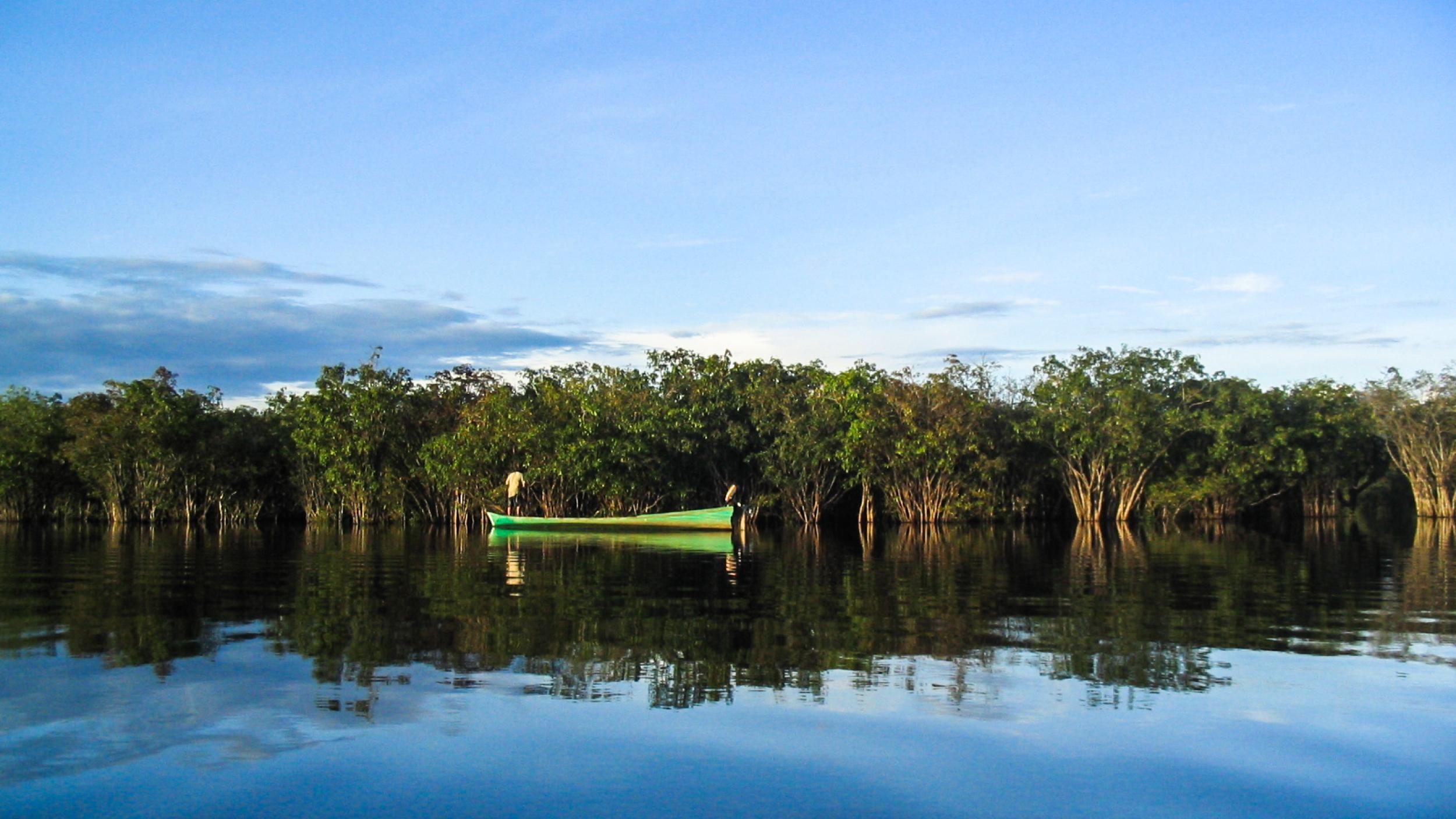 Indonesia - Sentarum Lake, West Kalimantan - Yayan Indriatmoko-CIFOR