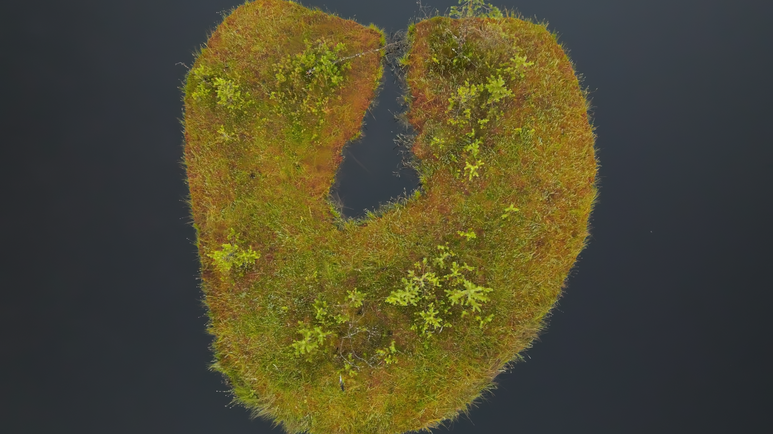 Jeziorka Kozie, Tuchola Pine Forest N Poland The heart of the floating mat