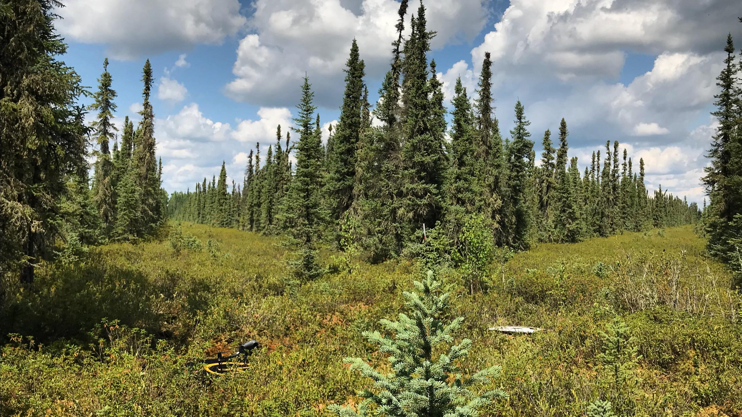 Canada - Alberta - 2020 - Scott Davidson (Uni Waterloo)